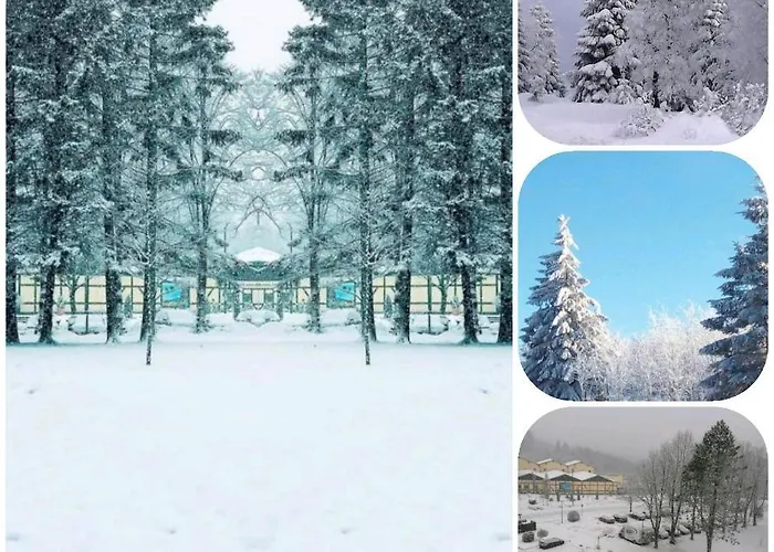 Crisand 3 Panoramic Апартаменты